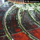 Kuma Tea Garden: Yamecha Mountain-Grown First Flush Spring Benifuuki Black Tea. - yumenet.live