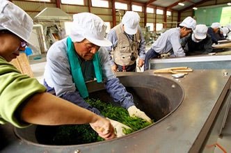 Kunitomo: Riguricha Iwakura - The Stone Throne - Handpicked Kamairicha りぐり茶 岩座 - yumenet.live