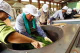 Kunitomo: Riguricha Ryu - The Mountain Dragon - Handpicked, Wild Kamairicha りぐり茶 龍 - yumenet.live