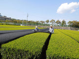 Marushige Shimizu Tea Farm: Kabusecha Shaded Green Tea, Tsuyuhikari つゆひかり - yumenet.live