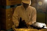 Mikuniya’s Yakinori Seaweed Sheet for Sushi - Imperial Grade 10 pcs - 焼寿司海苔 超特選 - yumenet.live