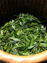 Mitocha NR005: Aged, Sun-dried Kamairicha Bancha 天日干し釜炒りばん茶 - yumenet.live