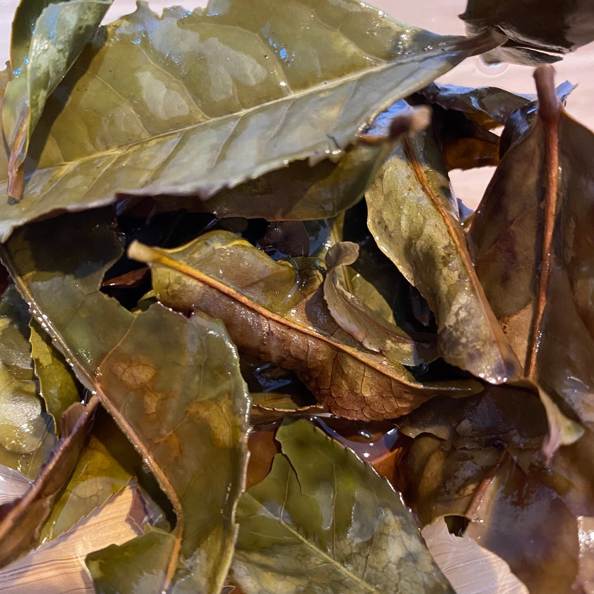 Mitocha NR006: Makibi Kancha Firewood Winter Green Tea (Aged) 薪火寒茶 - yumenet.live