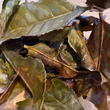 Mitocha NR006: Makibi Kancha Firewood Winter Green Tea (Aged) 薪火寒茶 - yumenet.live