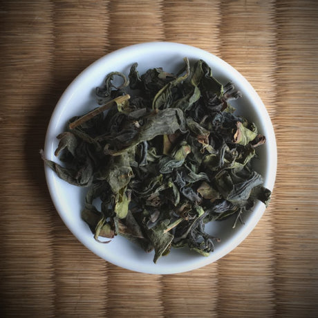 Miyazaki Sabou MY15: Oolong Tea - Saemidori Single Cultivar - yumenet.live