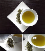 Morita Tea Garden #04: 2022 Sayama Karigane (Premium Stem Tea) 雁が音 - yumenet.live