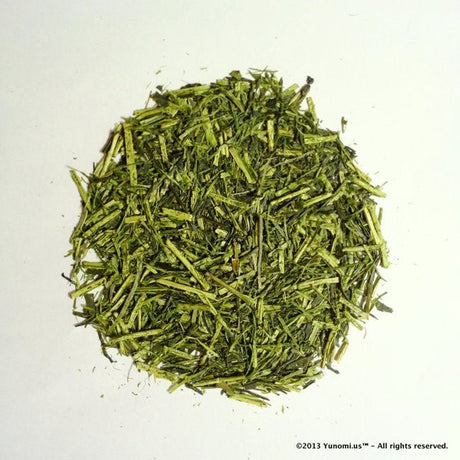 Morita Tea Garden #04: 2022 Sayama Karigane (Premium Stem Tea) 雁が音 - yumenet.live