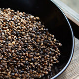 Nabeshima Hida Mugicha Barley Tea (bulk) 飛騨むぎ茶 - yumenet.live