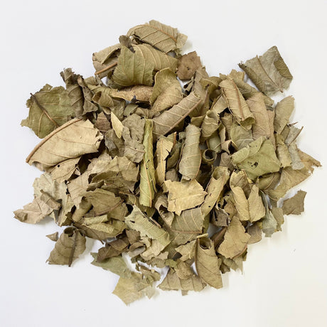 Nakazen: Guava Leaf Tea (loose leaf) - yumenet.live