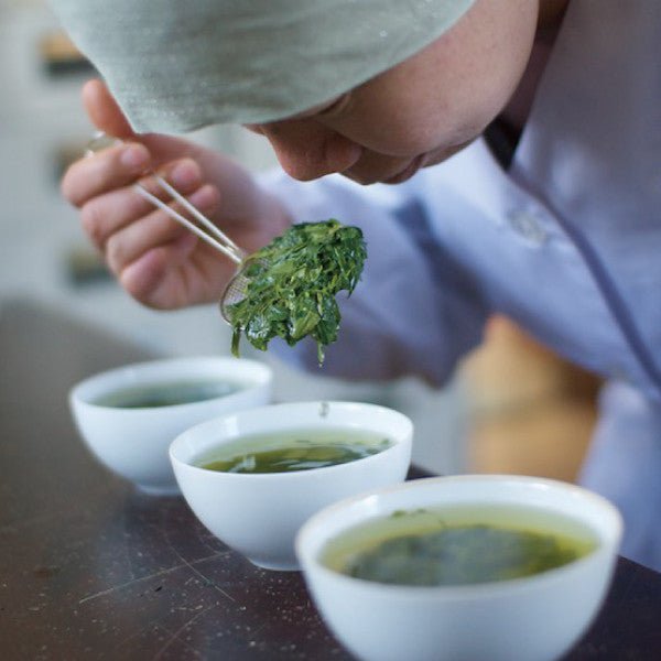 NaturaliTea #02: 2022 Hachijyuhachiya Sencha Green Tea, Spring Midori First Flush 有機八十八夜摘み 春の香みどり - yumenet.live