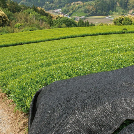 NaturaliTea #18: 2022 Organic Premium Kabuse Sencha 有機一番摘み煎茶: 冠(かぶせ)茶 - yumenet.live