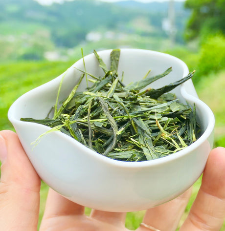 Obubu #08: Yanagi Bancha, Green Tea - yumenet.live