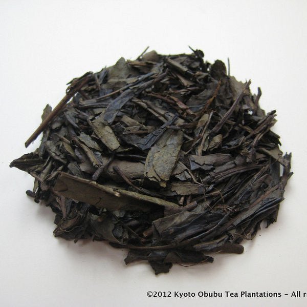Obubu #11: Hojicha (Basic Roast), Roasted Green Tea - yumenet.live