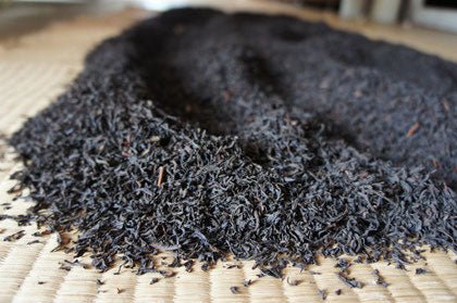 Ogura Tea Garden: Yabukita Wakocha First Flush Black Tea from Ashigara, Kanagawa 足柄産のやぶきた紅茶 - yumenet.live