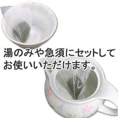 Seiwa 18734: Flat or Pyramid Mesh Tea Bags, 55 x 80 mm - yumenet.live