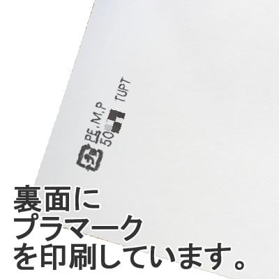 Seiwa 50552: Sample Packets, white matte paper, 110 x 110 mm - yumenet.live