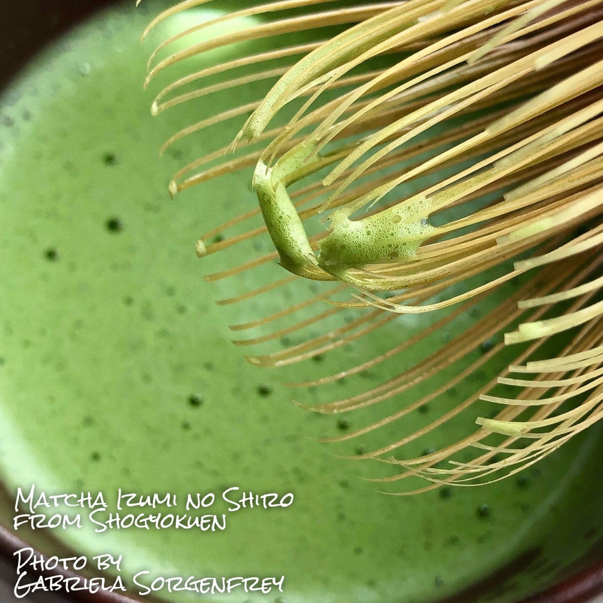 Shogyokuen: Matcha Izumi no Shiro, Standard Ceremonial Grade (Spring Harvest) 泉の白 - yumenet.live