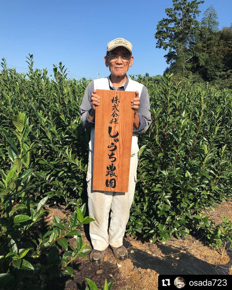 Shuchi Tea Garden: Fukamushicha Green Tea, Kirari 31 Single Cultivar, 2022 Nihoncha Awards Platinum Medal Winner, Refined by Osada Tea - yumenet.live