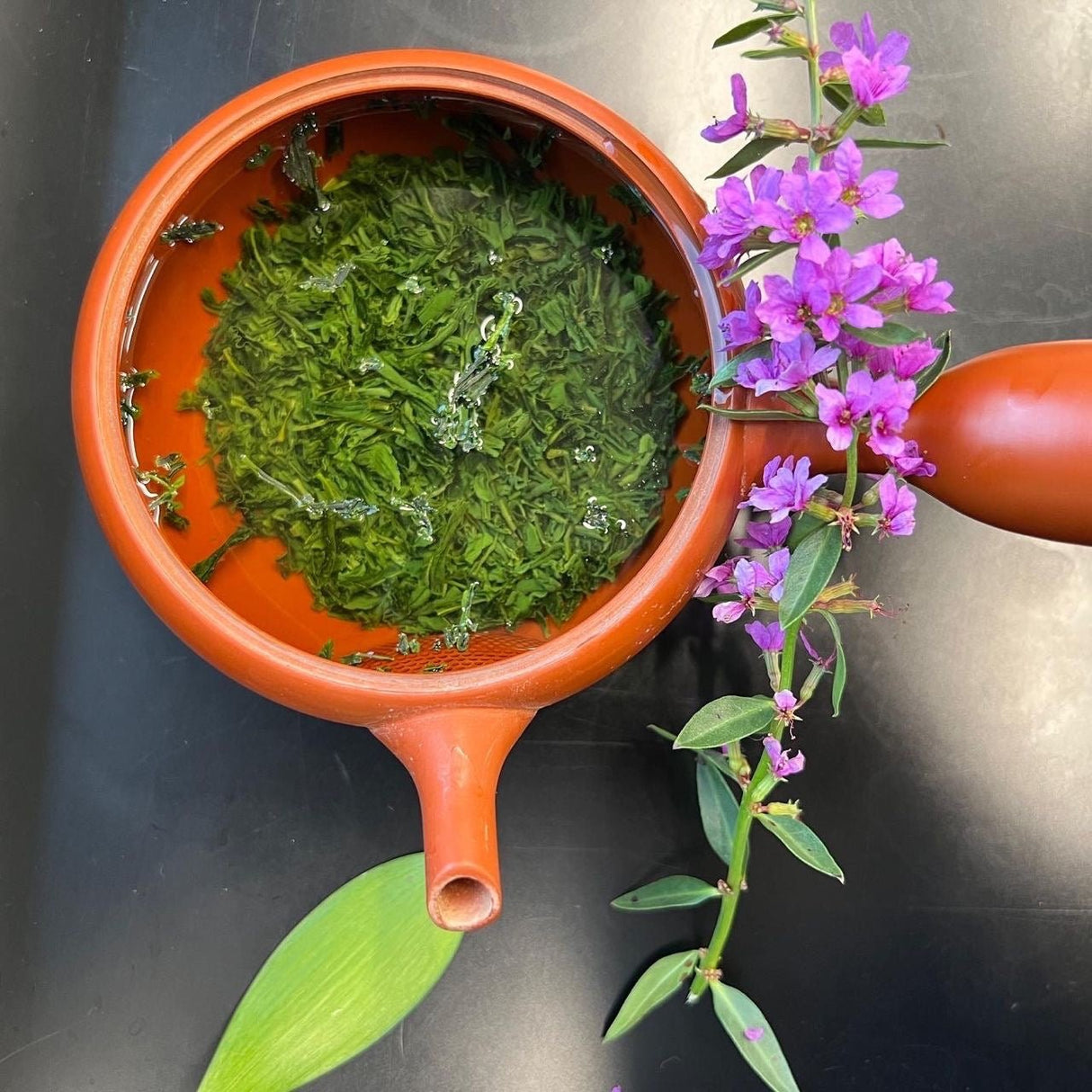 Shuchi Tea Garden: Fukamushicha Green Tea, Kirari 31 Single Cultivar, 2022 Nihoncha Awards Platinum Medal Winner, Refined by Osada Tea - yumenet.live