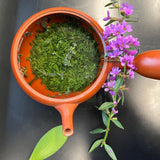 Shuchi Tea Garden: Fukamushicha Green Tea, Kirari 31 Single Cultivar, 2022 Nihoncha Awards Platinum Medal Winner, Refined by Osada Tea - yumenet.live