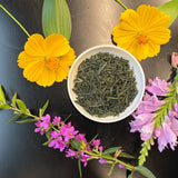 Shuchi Tea Garden: Fukamushicha Green Tea, Kirari 31 Single Cultivar, 2022 Nihoncha Awards Platinum Medal Winner, Refined by Osada Tea - yumenet.live