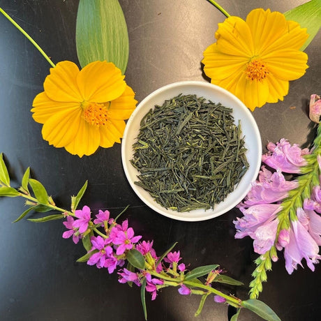 Shuchi Tea Garden: Fukamushicha Green Tea, Kirari 31 Single Cultivar, 2022 Nihoncha Awards Platinum Medal Winner, Refined by Osada Tea - yumenet.live