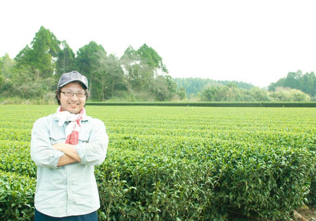 Sueyoshi Tea Atelier #001: 2022 "Furusato no Hana" Saemidori Fukamushi Kabusecha from Kagoshima 末吉銘茶 郷里の華 さえみどり - yumenet.live