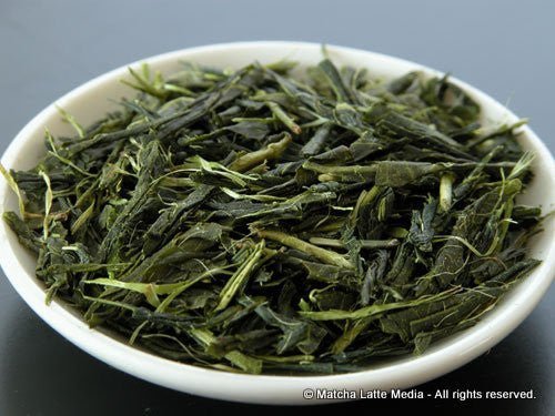 Takeo Tea Farm: 2022 Organic Bancha Green Tea, Satsuki no Aoyanagi, May harvest 五月の青柳 - yumenet.live