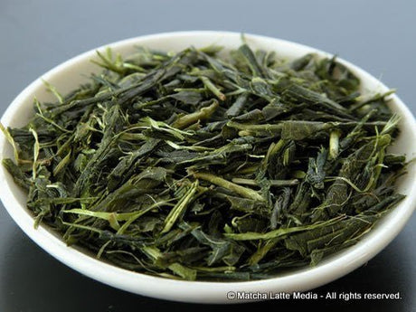 Takeo Tea Farm: 2022 Organic Bancha Green Tea, Satsuki no Aoyanagi, May harvest 五月の青柳 - yumenet.live