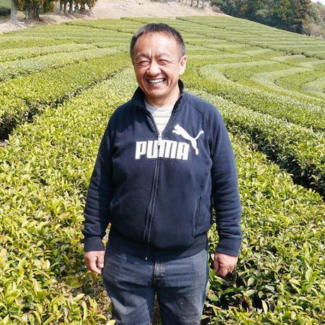 Tarui Tea Farm: 2022 Organic Sencha Chouseiden - Single Cultivar Shizu 7132 有機 長生殿 - yumenet.live