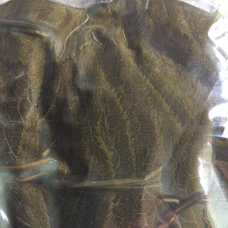 Tomiz: Pickled Sakura Leaves from Izu Peninsula, Shizuoka 桜葉の塩漬(伊豆産) - yumenet.live