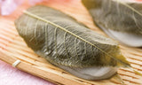 Tomiz: Pickled Sakura Leaves from Izu Peninsula, Shizuoka 桜葉の塩漬(伊豆産) - yumenet.live