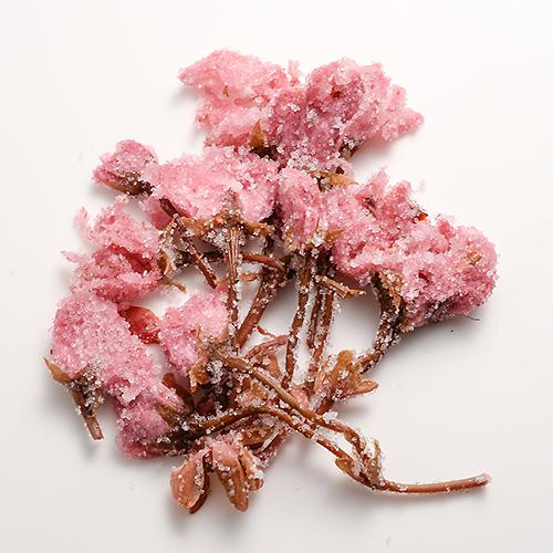 Tomiz: Salt-Pickled Sakura Blossoms (Japanese-grown) 桜花の塩漬 - yumenet.live