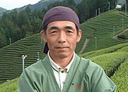 Uejima Tea Farm: Wazuka Sencha Superior Samidori 上煎茶 - yumenet.live