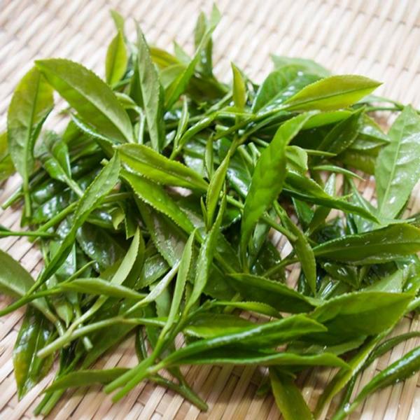Wakoen Tea Farm: 2022 Kagoshima Fukamushicha - Takumi 和香園 深蒸し茶 匠 - yumenet.live