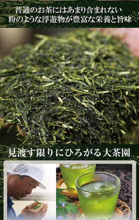 Wakoen Tea Farm: 2022 Kagoshima Fukamushicha - Yoh 和香園 深蒸し茶 陽 - yumenet.live