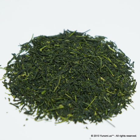 Yokota Tea Garden: Sayamacha Fukumidori (deep green sencha) - yumenet.live