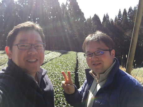 Yunomi Services: Tea Business Consultations - yumenet.live