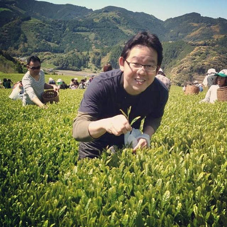 Yunomi Services: Wholesale Application Fee - yumenet.live