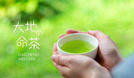 Zenkouen Tea Garden #18: 2022 Daichi no Meicha - Single Cultivar Yabukita Shizuoka Sencha (JAS Organic) 大地の銘茶、やぶきた - yumenet.live